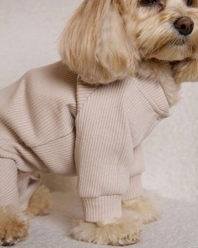 Комбінезон-трансформер у рубчик &ldquo;Four-Paws Bodysuit&rdquo; таш, Feel with Fill, розмір XS 32951XS фото
