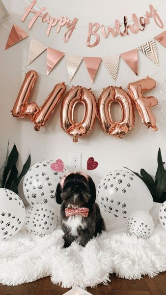 Фольговані кульки, Woof, 40 см, золотий MialandHB15_1 фото