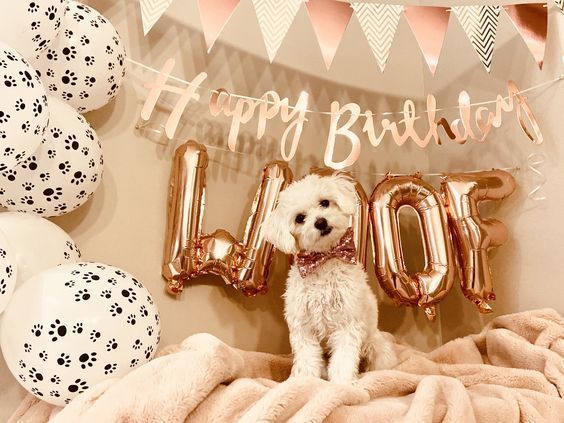 Фольговані кульки, Woof, 40 см, золотий MialandHB15_1 фото