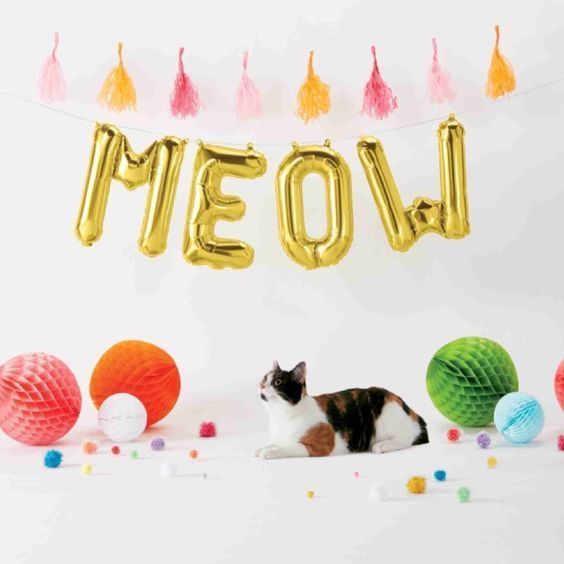 Фольговані кульки, Meow, 40 см, золотий MialandHB16_1 фото
