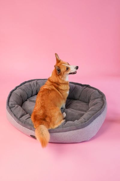 Овальний лежак Donut Soft Touch Gray L 3102862 фото