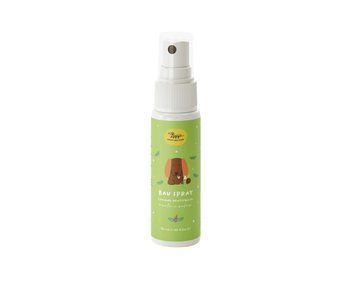 Спрей для здоровʼя ротової порожнини Hygge Bau Spray 50 мл 8059571060465 фото