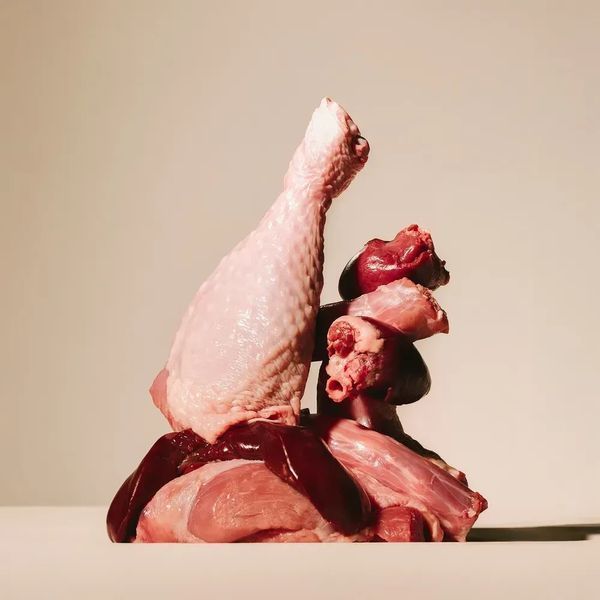 Корм сухий Carnilove True Fresh Turkey Sterilised для стерилізованих котів індичка 400 г 173748 фото