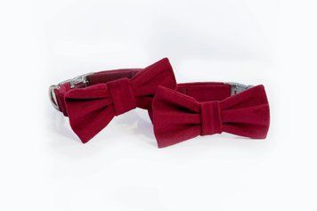 Нашийник-метелик для улюбленця Burgundy XS (23x35,5 cm) 3104179 фото