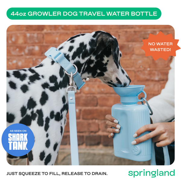 Пляшка-поїлка для собак Growler Springland Блакитний 1,3 л 42969 фото