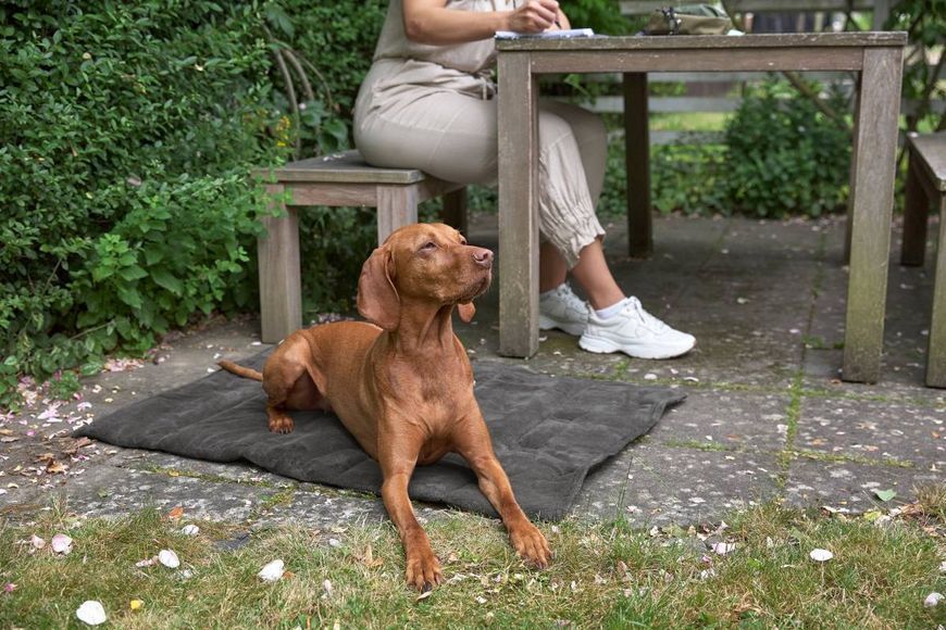 Складаний килим для собак Palopa Alma Сірий S 40191 фото