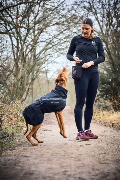 Сумка для ласощів та аксесуарів собак Treat bag Non-stop dogwear Чорний 40555 фото