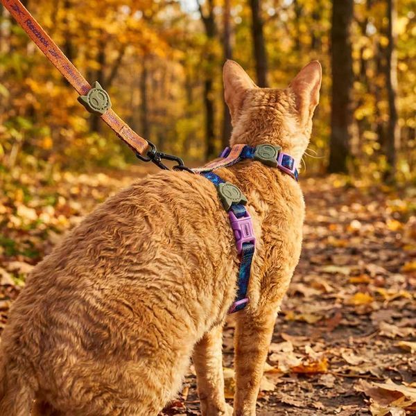 Набір шлея та повідець для котів Zee.Cat - Trekk Harness+Leash Set - ЛІМІТОВАНА КОЛЕКЦІЯ Reebok 760346 фото