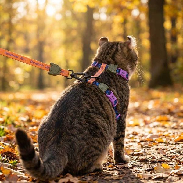 Набір шлея та повідець для котів Zee.Cat - Trekk Harness+Leash Set - ЛІМІТОВАНА КОЛЕКЦІЯ Reebok 760346 фото