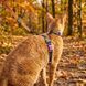 Набір шлея та повідець для котів Zee.Cat - Trekk Harness+Leash Set - ЛІМІТОВАНА КОЛЕКЦІЯ Reebok 760346 фото 6