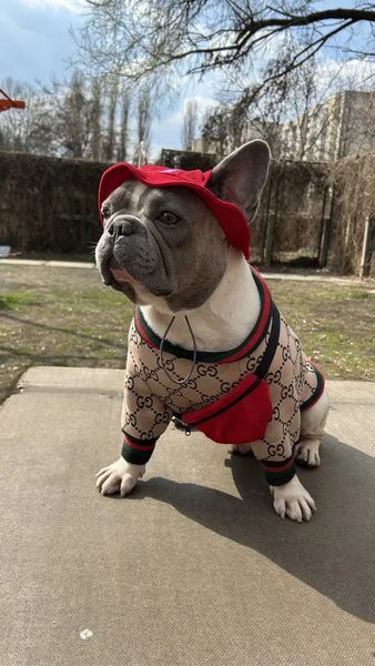 Панама для собак з котону HatDog, ягідний мілкшейк, розмір XS HD_237 фото