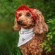 Панама для собак з котону HatDog, ягідний мілкшейк, розмір XS HD_237 фото 11