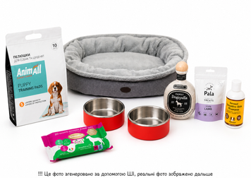 Набір для цуценяти до 35 кг Puppy Box MINI &mdash; базовий старт 🐾 MIA40 фото