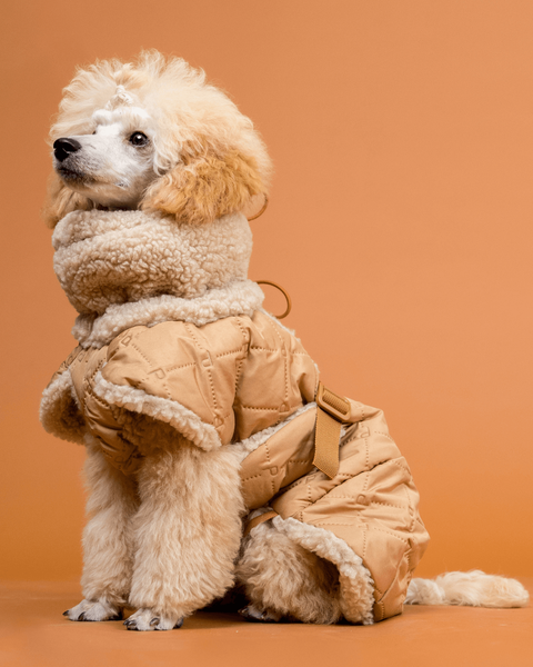 Тепла попона для собак Winter Sherpa Jacket Camel Paikka, розмір - 40 см PK_304 фото