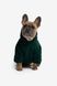 Худі для песика Classic, Зелений, Розмір 4 0011C05/0/D4 фото 1