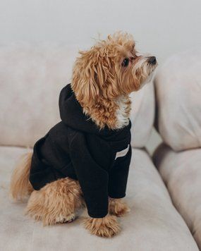 Худі з начосом чорний &ldquo;Hugme&rdquo;, Feel with Fill, розмір XS 32627XS фото