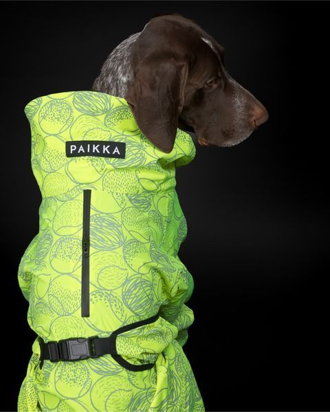 Комбінезон-дощовик для собак Rain Suit Neon Paikka, розмір - 25 см PK_123 фото