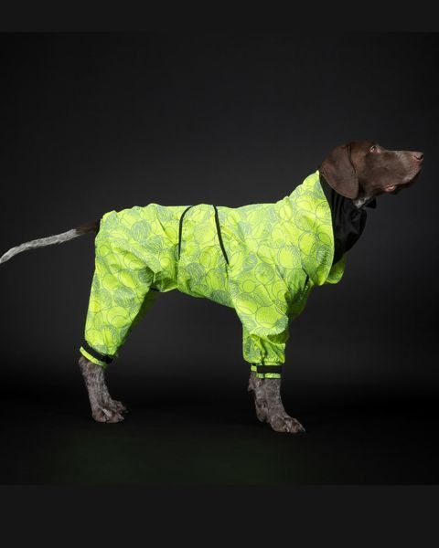Комбінезон-дощовик для собак Rain Suit Neon Paikka, розмір - 25 см PK_123 фото