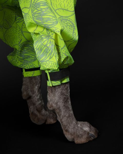 Комбінезон-дощовик для собак Rain Suit Neon Paikka, розмір - 25 см PK_123 фото