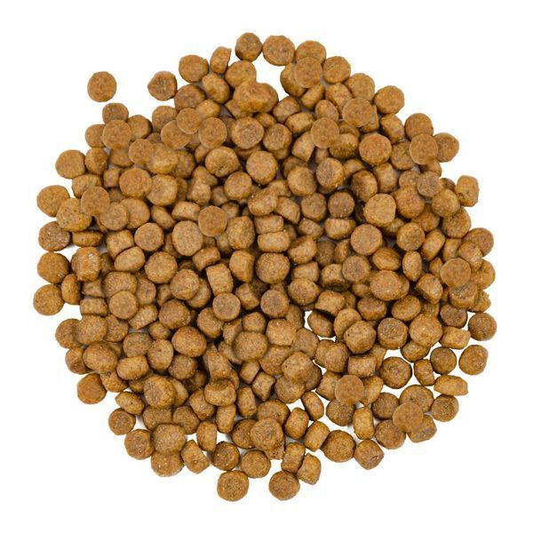 Корм сухий Savory Adult Cat Gourmand Fresh Salmon and White Fish для дорослих котів зі свіжим лососем і білою рибою 400 г 30013 фото