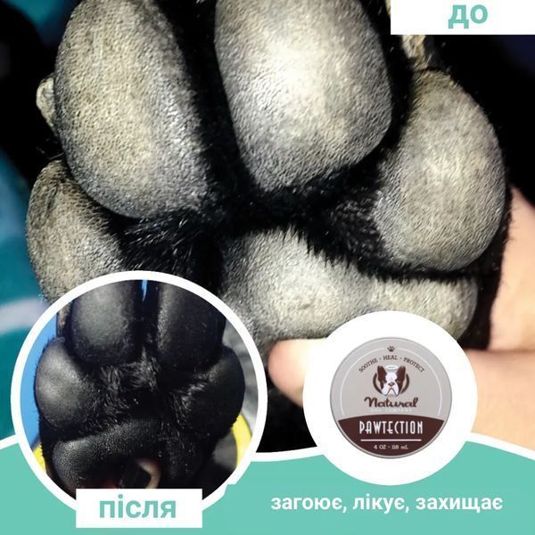 Бальзам для захисту лап Paw Tection Natural Dog Company 30мл туба ND-PAWT-1T фото