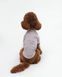 Футболка сіра &ldquo;Mickey&rdquo;, Feel with Fill, розмір L 32132L фото 1