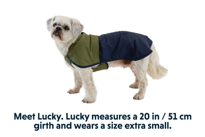 Дощовик для собак Ruffwear Sun Shower&trade; S Синьо-оливковий 30505 фото