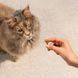 Ласощі Carnilove Soft Snack Turkey with Catnip для котів м'які індичка і котяча м'ята 50 г 112413 фото 6