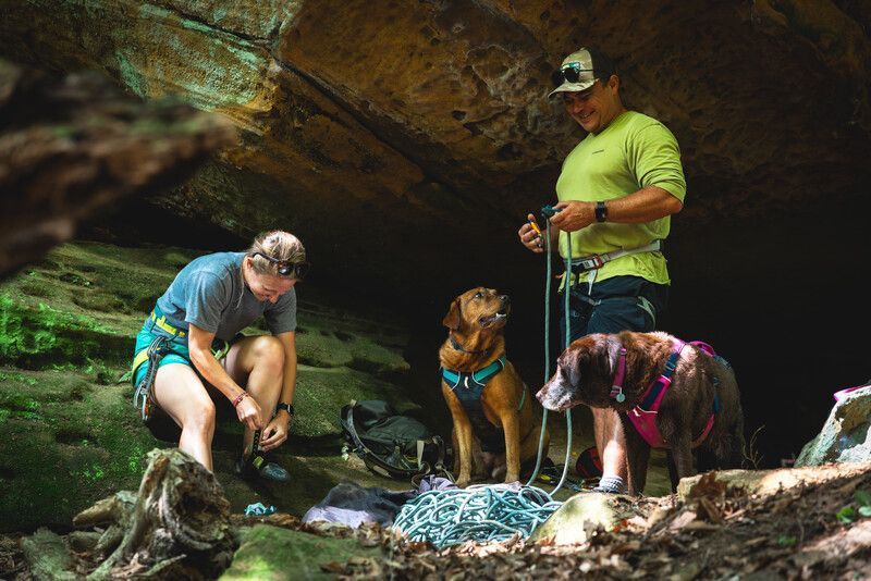 Легка шлейка для собак Ruffwear Flagline XXS 33-43 см Сірий 30746 фото