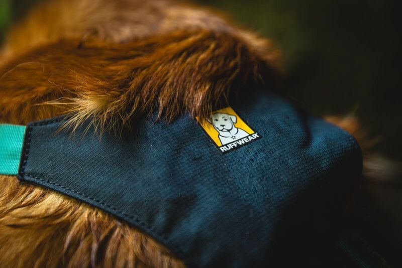 Легка шлейка для собак Ruffwear Flagline XXS 33-43 см Сірий 30746 фото