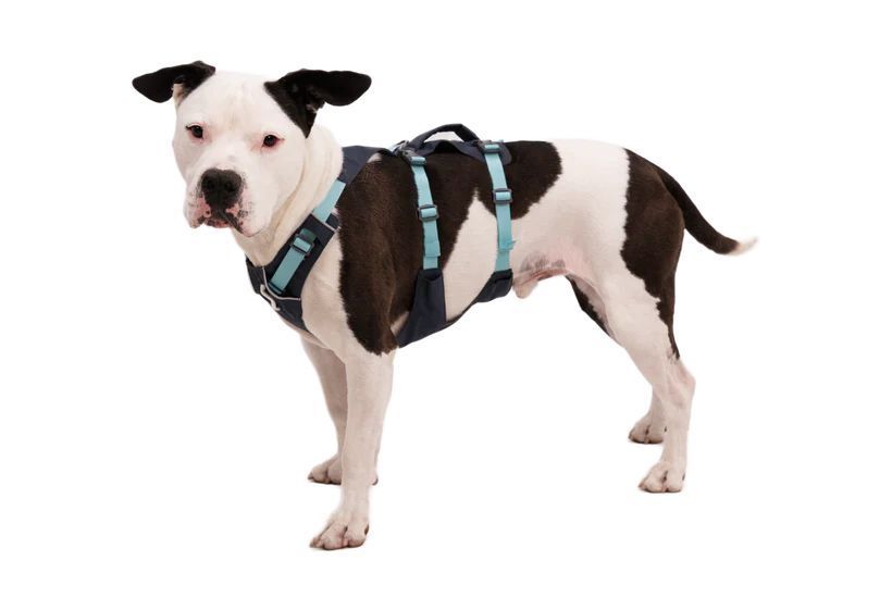 Легка шлейка для собак Ruffwear Flagline XXS 33-43 см Сірий 30746 фото