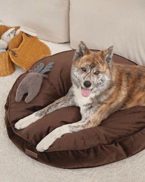 Лежак-подушка "Pearl" з ефектом пам'яті Memory Foam коричневого кольору, XS 60cм PRL_BD001BWN_XS фото