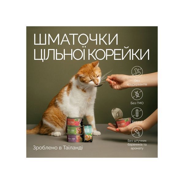 Корм вологий Savory філе тунця з макреллю в желе для дорослих котів, Tuna Fillets rich in Mackerel in Jelly for Adult Cats 70 г 20970 фото