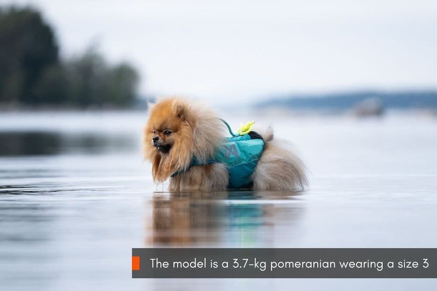 Рятувальний жилет для собак Protector life jacket Non-stop dogwear Бірюзовий 3 40505 фото