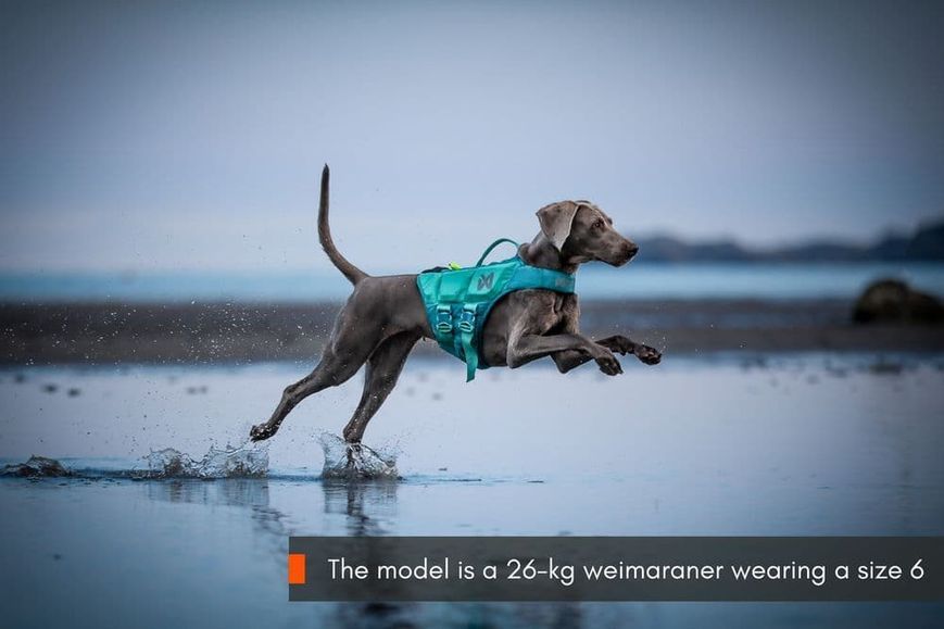 Рятувальний жилет для собак Protector life jacket Non-stop dogwear Бірюзовий 3 40505 фото