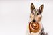 Іграшка для собак Pup Cup Cafe - Cinnabone Pet Play (Standart) 840279500616 фото 2