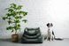Лежак Dreamer Velur Green S 3102746 фото 3