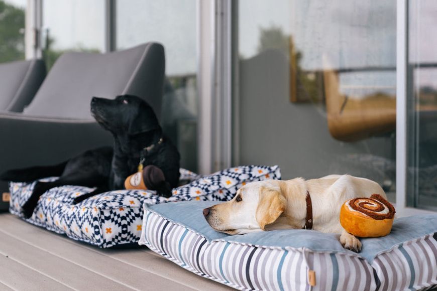 Іграшка для собак Pup Cup Cafe - Cinnabone Pet Play (Standart) 840279500616 фото