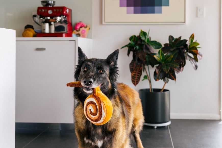 Іграшка для собак Pup Cup Cafe - Cinnabone Pet Play (Standart) 840279500616 фото