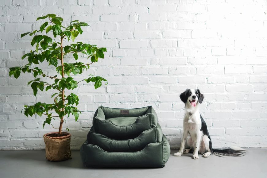 Лежак Dreamer Velur Green S 3102746 фото