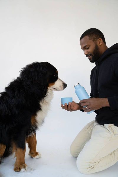 Термос із спеціальною мискою для собак Dog & Me Springland Блакитний 710 мл + 240 мл 42972 фото