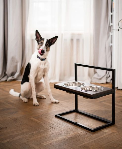Миски на підставці з регульованою висотою Lift Brown wood + Black, M 3300166 фото