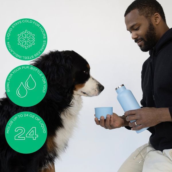 Термос із спеціальною мискою для собак Dog & Me Springland Блакитний 710 мл + 240 мл 42972 фото