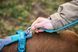 Повідець для собак Trekking rope leash Non-stop dogwear Бірюзовий 2 м/6 мм 41376 фото 3