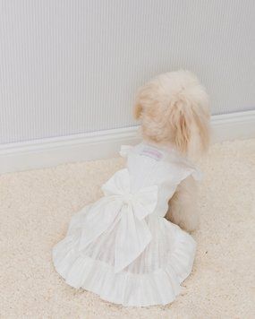 Сукня молочна з батисту &ldquo;Belle&Bow&rdquo;, Feel with Fill, розмір XS 32443XS фото