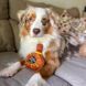 Іграшка для собак Віскі Chewffon Whiskey Bottle Squeaky Toy CHFF034 фото 6