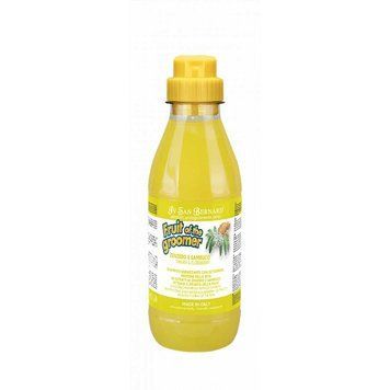 Шампунь Iv San Bernard Ginger and Elderberry дезинфікуюча, з бузиною та імбирем, 500мл ISB_29 фото
